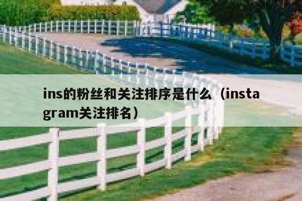 ins的粉丝和关注排序是什么（instagram关注排名） 第1张
