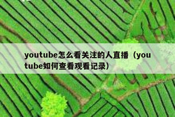 youtube怎么看关注的人直播(youtube如何查看观看记录) 第1张 youtube怎么看关注的人直播(youtube如何查看观看记录) 第1张