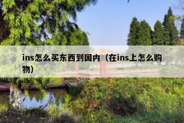 ins怎么买东西到国内(在ins上怎么购物) 第1张 ins怎么买东西到国内(在ins上怎么购物) 第1张