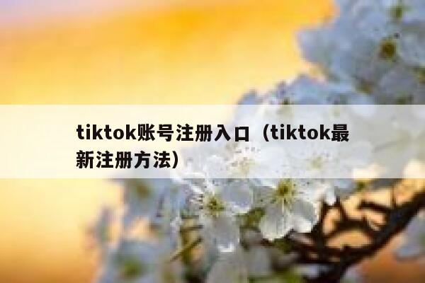 tiktok账号注册入口（tiktok最新注册方法） 第1张