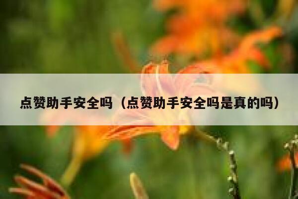点赞助手安全吗（点赞助手安全吗是真的吗） 第1张