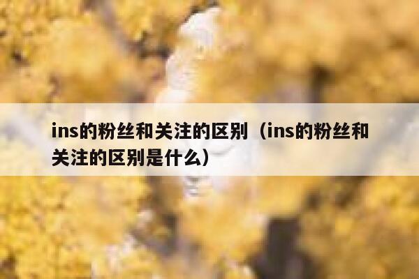ins的粉丝和关注的区别(ins的粉丝和关注的区别是什么) 第1张 ins的粉丝和关注的区别(ins的粉丝和关注的区别是什么) 第1张
