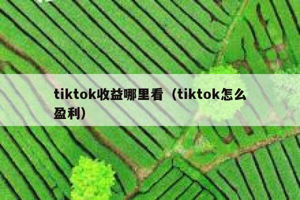 tiktok收益哪里看(tiktok怎么盈利) 第1张 tiktok收益哪里看(tiktok怎么盈利) 第1张