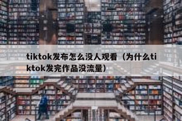 tiktok发布怎么没人观看（为什么tiktok发完作品没流量） 第1张