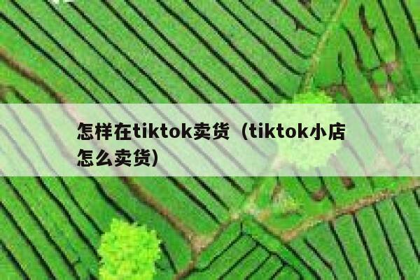 怎样在tiktok卖货（tiktok小店怎么卖货） 第1张
