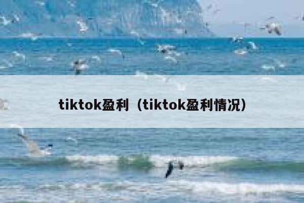 tiktok盈利(tiktok盈利情况) 第1张 tiktok盈利(tiktok盈利情况) 第1张