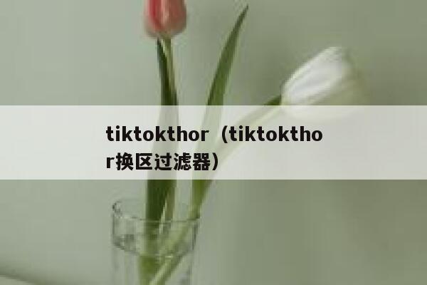 tiktokthor（tiktokthor换区过滤器） 第1张