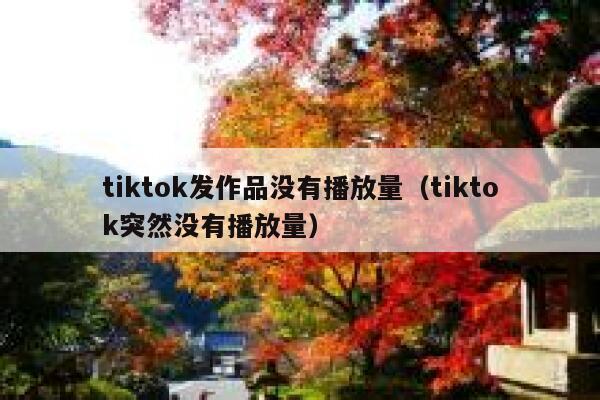 tiktok发作品没有播放量(tiktok突然没有播放量) 第1张 tiktok发作品没有播放量(tiktok突然没有播放量) 第1张