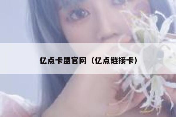 亿点卡盟官网（亿点链接卡） 第1张