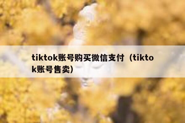 tiktok账号购买微信支付(tiktok账号售卖) 第1张 tiktok账号购买微信支付(tiktok账号售卖) 第1张