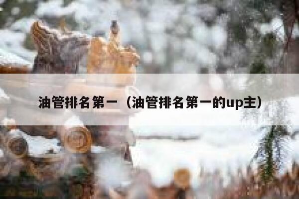 油管排名第一(油管排名第一的up主) 第1张 油管排名第一(油管排名第一的up主) 第1张