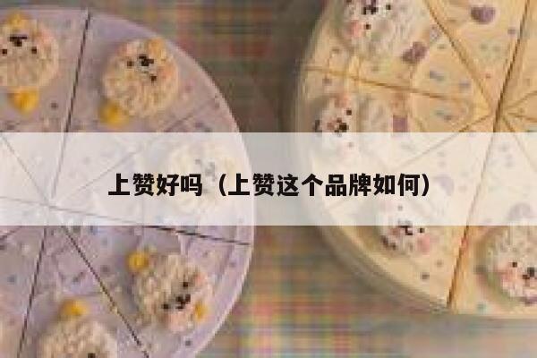 上赞好吗(上赞这个品牌如何) 第1张 上赞好吗(上赞这个品牌如何) 第1张