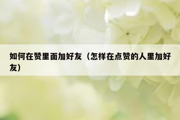 如何在赞里面加好友(怎样在点赞的人里加好友) 第1张 如何在赞里面加好友(怎样在点赞的人里加好友) 第1张