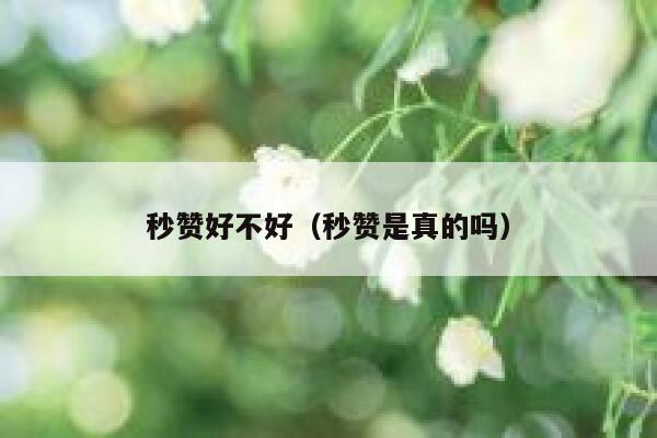 秒赞好不好(秒赞是真的吗) 第1张 秒赞好不好(秒赞是真的吗) 第1张