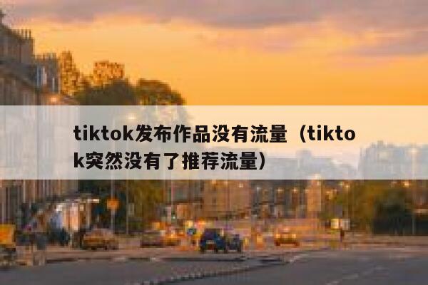 tiktok发布作品没有流量（tiktok突然没有了推荐流量） 第1张