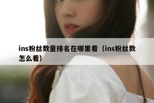 ins粉丝数量排名在哪里看（ins粉丝数怎么看） 第1张
