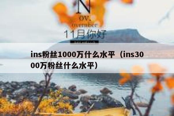 ins粉丝1000万什么水平(ins3000万粉丝什么水平) 第1张 ins粉丝1000万什么水平(ins3000万粉丝什么水平) 第1张