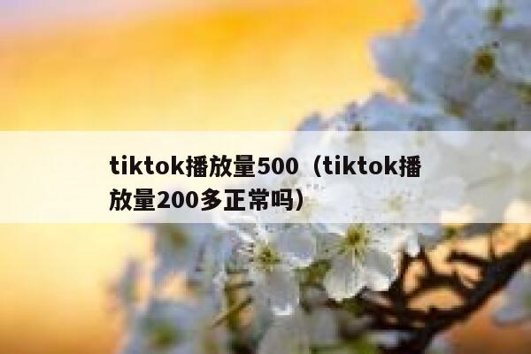 tiktok播放量500（tiktok播放量200多正常吗） 第1张