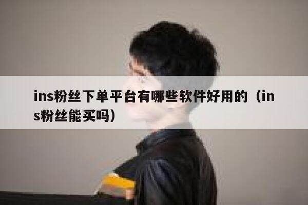 ins粉丝下单平台有哪些软件好用的（ins粉丝能买吗） 第1张