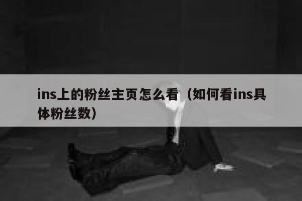 ins上的粉丝主页怎么看（如何看ins具体粉丝数） 第1张