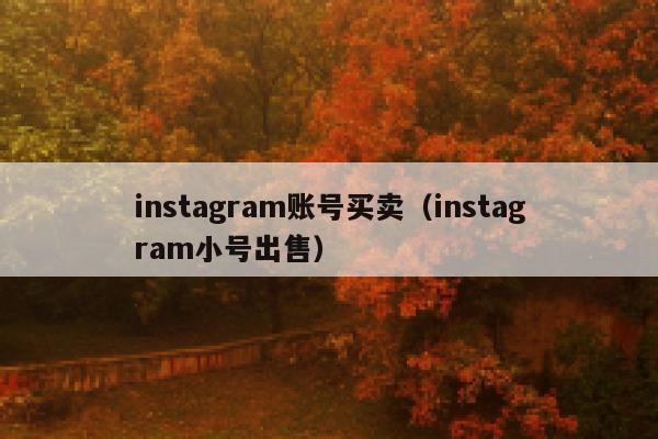 instagram账号买卖（instagram小号出售） 第1张