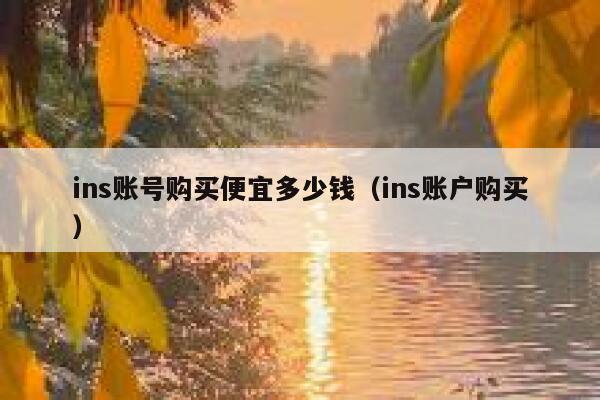 ins账号购买便宜多少钱（ins账户购买） 第1张