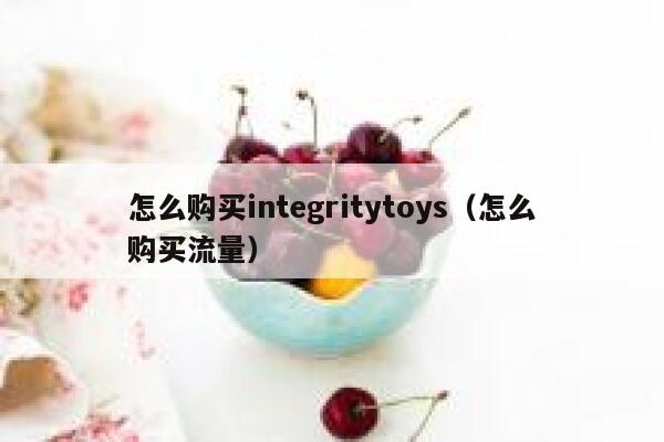 怎么购买integritytoys（怎么购买流量） 第1张