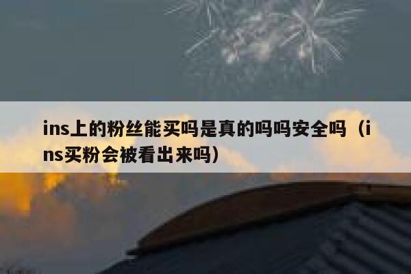 ins上的粉丝能买吗是真的吗吗安全吗（ins买粉会被看出来吗） 第1张