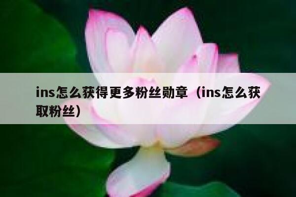 ins怎么获得更多粉丝勋章（ins怎么获取粉丝） 第1张