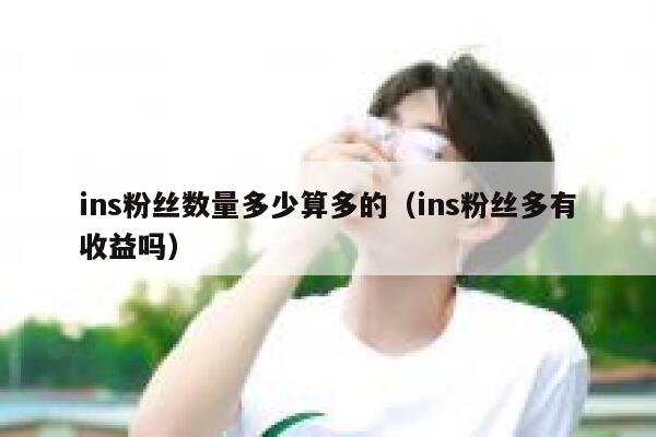 ins粉丝数量多少算多的（ins粉丝多有收益吗） 第1张