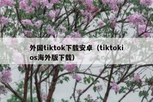 外国tiktok下载安卓（tiktokios海外版下载） 第1张