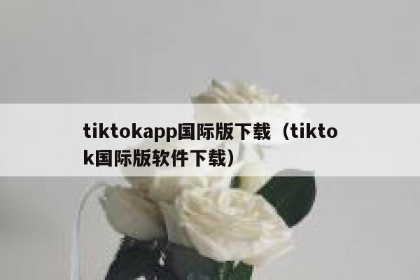 tiktokapp国际版下载（tiktok国际版软件下载） 第1张