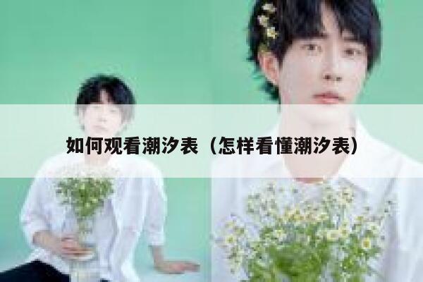 如何观看潮汐表（怎样看懂潮汐表） 第1张