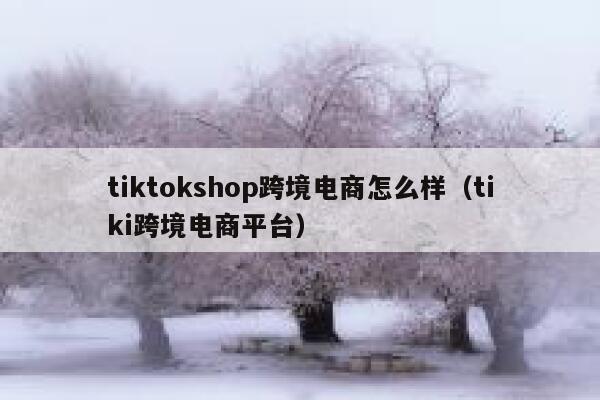 tiktokshop跨境电商怎么样（tiki跨境电商平台） 第1张