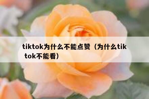 tiktok为什么不能点赞（为什么tik tok不能看） 第1张