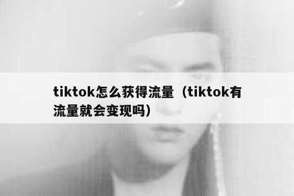 tiktok怎么获得流量（tiktok有流量就会变现吗） 第1张