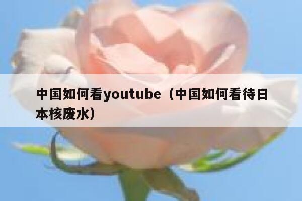 中国如何看youtube（中国如何看待日本核废水） 第1张