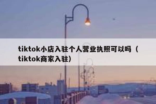 tiktok小店入驻个人营业执照可以吗（tiktok商家入驻） 第1张