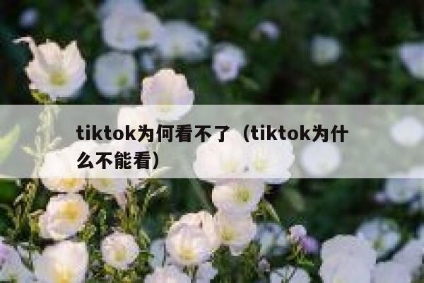 tiktok为何看不了(tiktok为什么不能看) 第1张 tiktok为何看不了(tiktok为什么不能看) 第1张