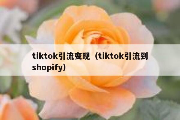 tiktok引流变现（tiktok引流到shopify） 第1张
