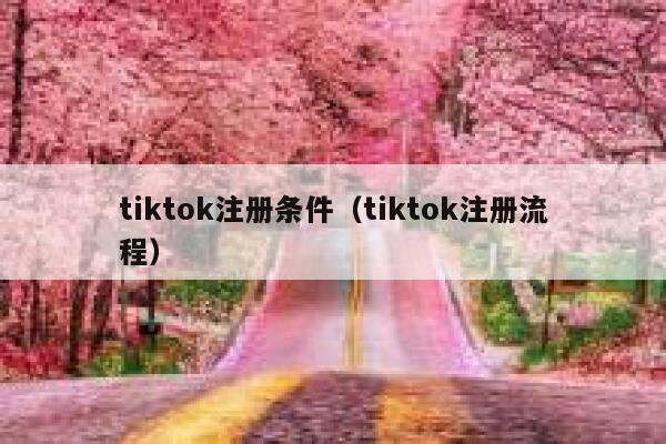 tiktok注册条件(tiktok注册流程) 第1张 tiktok注册条件(tiktok注册流程) 第1张