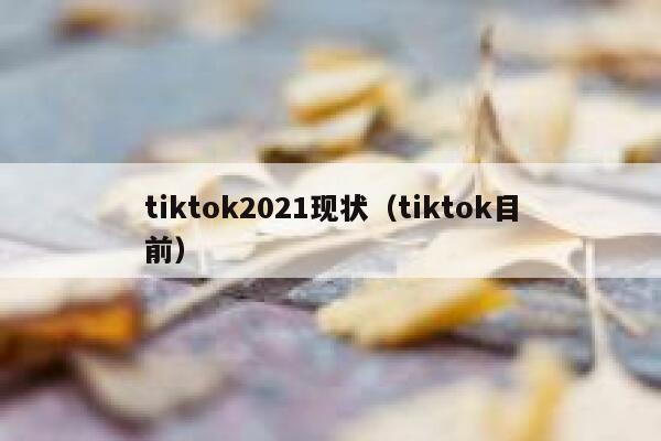 tiktok2021现状（tiktok目前） 第1张