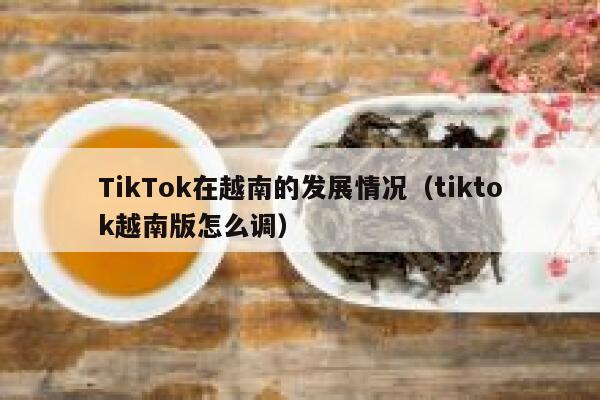TikTok在越南的发展情况（tiktok越南版怎么调） 第1张