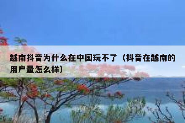 越南抖音为什么在中国玩不了(抖音在越南的用户量怎么样) 第1张 越南抖音为什么在中国玩不了(抖音在越南的用户量怎么样) 第1张