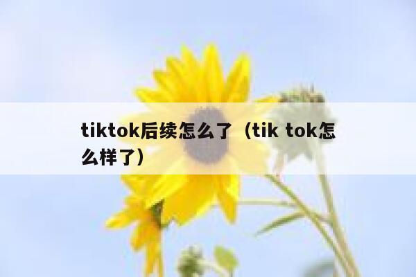tiktok后续怎么了（tik tok怎么样了） 第1张