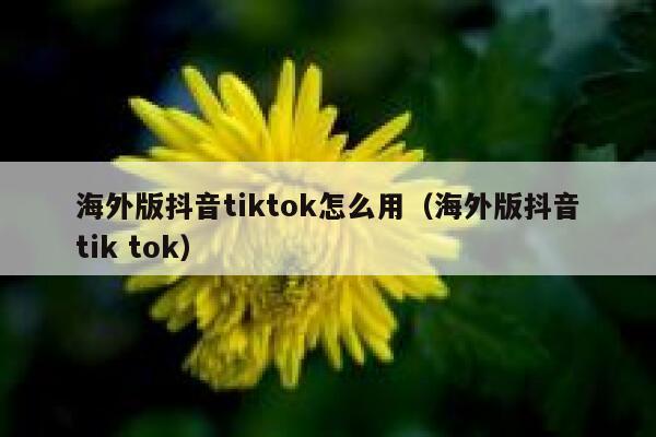 海外版抖音tiktok怎么用（海外版抖音tik tok） 第1张