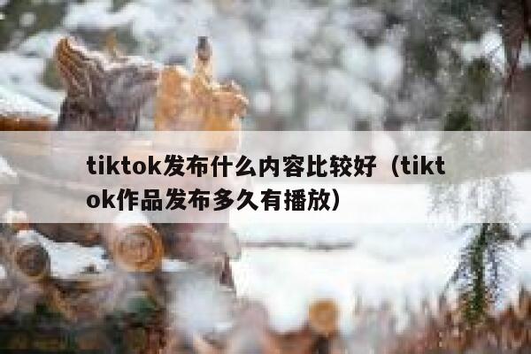tiktok发布什么内容比较好（tiktok作品发布多久有播放） 第1张