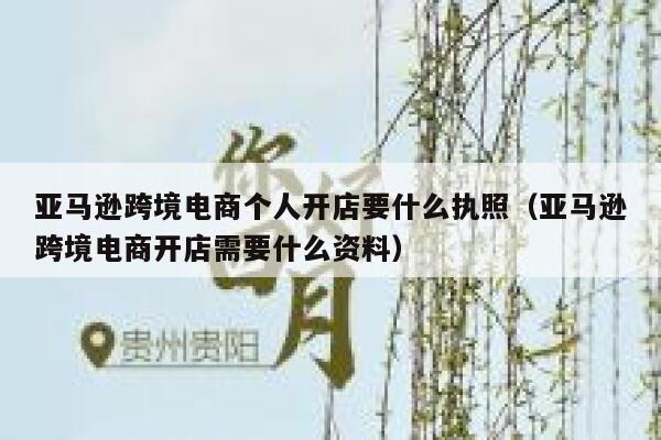 亚马逊跨境电商个人开店要什么执照（亚马逊跨境电商开店需要什么资料） 第1张