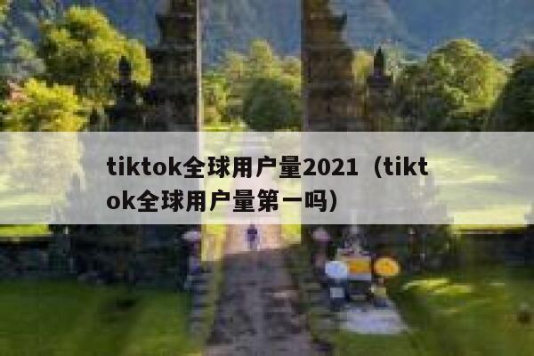 tiktok全球用户量2021（tiktok全球用户量第一吗） 第1张