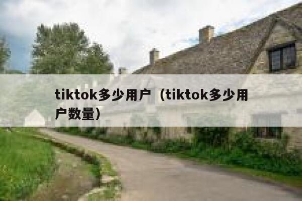 tiktok多少用户（tiktok多少用户数量） 第1张